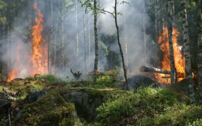 Investors Call for Climate Strategy Vote at UK’s Largest Listed Companies