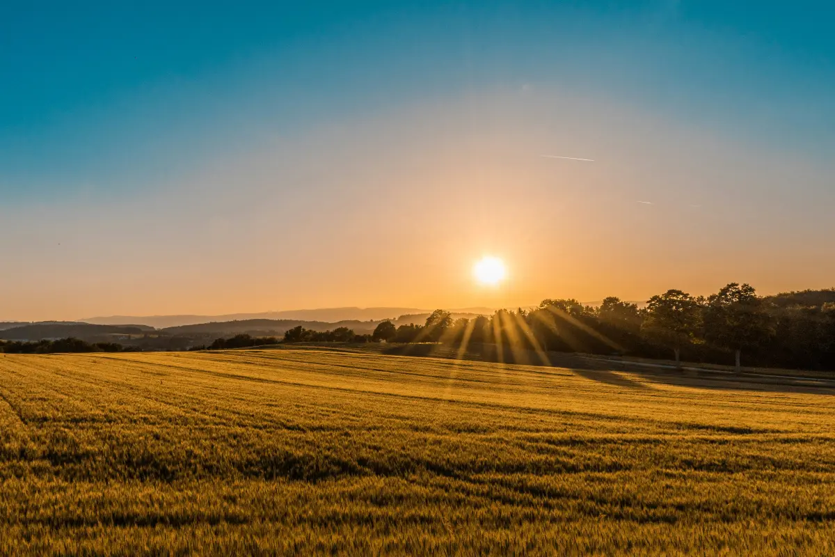 sun