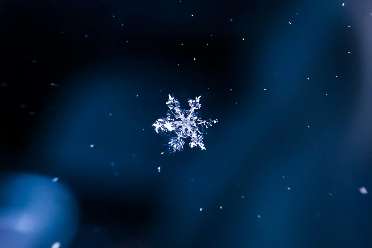 Morningstar expands investment data available on Snowflake Marketplace